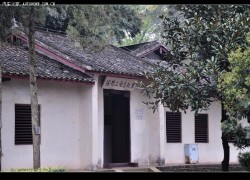 點擊查看詳細信息...